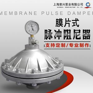  不銹鋼膜片式脈沖阻尼器 不銹鋼緩沖器 脈動阻尼器 脈沖阻尼器